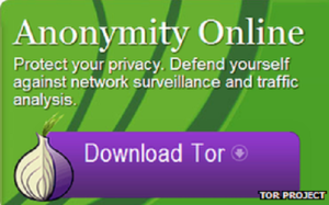 Hass Associates, Misbruk av barn steder på Tor rammes av skadelig programvare